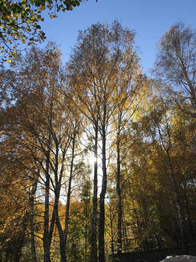 Sanmari_Forest Ledenice Екстер'єр фото